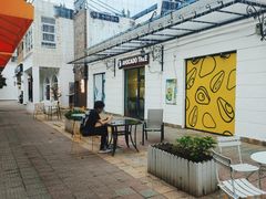 -油梨树AVOCADO TREE(顺义新国展店)