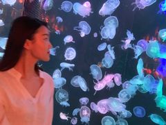 -大明湖海底世界