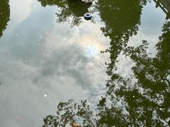 -宝通禅寺