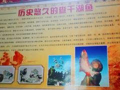 -老东北三江野生大鱼坊(登封店)