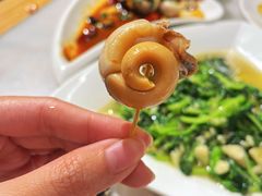 -华盛丰温州大排档(东三环南路店)