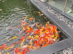-太子园林酒家