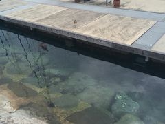 -麦哲伦丝绸度假村