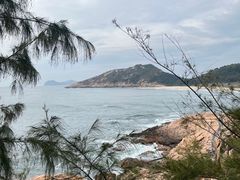 -广东惠东海龟国家级自然保护区
