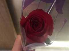 -CoCo都可(湖滨银泰店B区店)