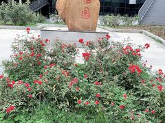 -人民公园(罗湖区)