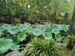 -上海鲁迅故居