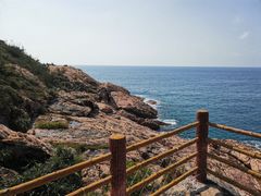 -广东惠东海龟国家级自然保护区