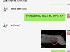 -宠颐生贝利健动物医院(谢家湾分院)