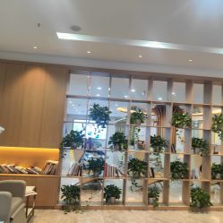 -碧莲盛·不剃发植发