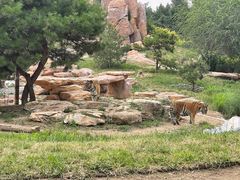 -北京野生动物园