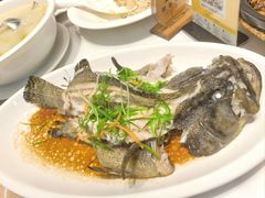 -鹅香四海·卤水火锅·砂锅粥·潮汕菜(宝安店)