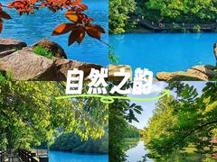 -白马涧龙池景区