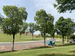 -盘龙城遗址博物院