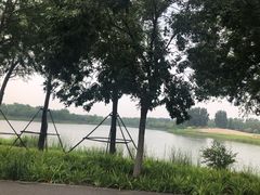 -东郊湿地公园