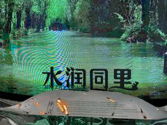 -同里国家湿地公园