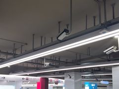 -东方体育中心(地铁站)