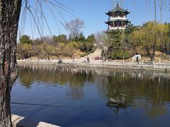 -莱西月湖公园