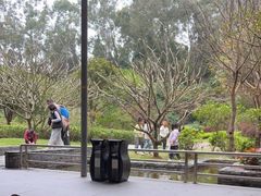 -南宁荔园维景国际酒店·荔园中餐厅