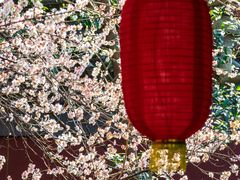 -钱王祠