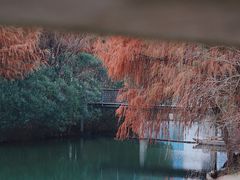 -尚贤河湿地