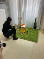 -蜜阁孕味亲子摄影(太奥广场店)