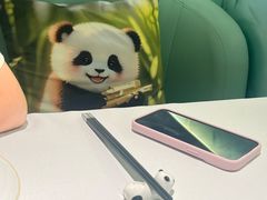 -眉州东坡·熊猫主题餐厅(枫蓝店)