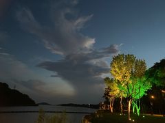 -上海市保健医疗中心