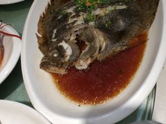 广式清蒸多宝鱼-石湖大酒店(桐泾店)