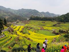 -灵山景区梯田