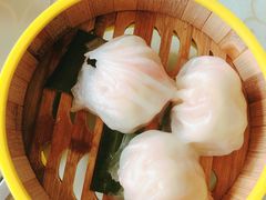 -广东温泉宾馆