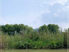 -长兴太湖图影湿地文化园