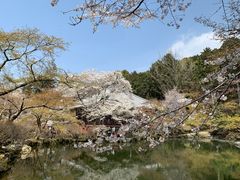 -醍醐寺