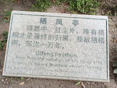 -梧桐山风景名胜区