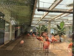 -石家庄市动物园