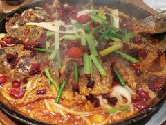 -老板恋上鱼(恒隆广场店)