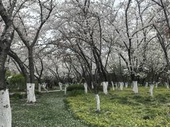 -范蠡湖公园