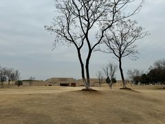 -盘龙城遗址博物院