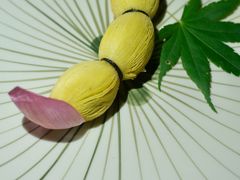 -黛瓦里·花园飨宴