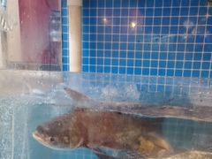 -巡耕记·湖南土菜(长湖店)