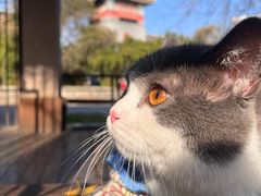 -四川大学(华西校区)