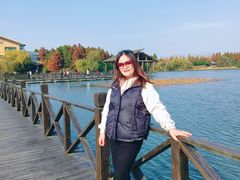 -溱湖国家湿地公园