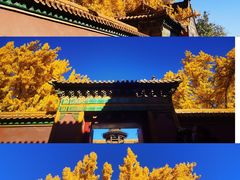 -故宫博物院(故宫)