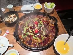 -老板恋上鱼(印象城店)