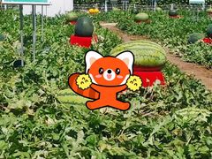 -长春农业博览园