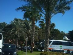 -亚特兰蒂斯水世界冒险乐园