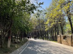 -石家庄市植物园