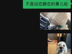 -宠物家(双井店)