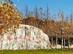 -上海海湾国家森林公园