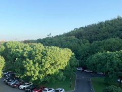 -上海佘山世茂艾美酒店